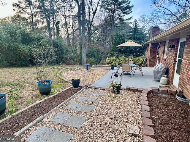 view of yard with a patio area