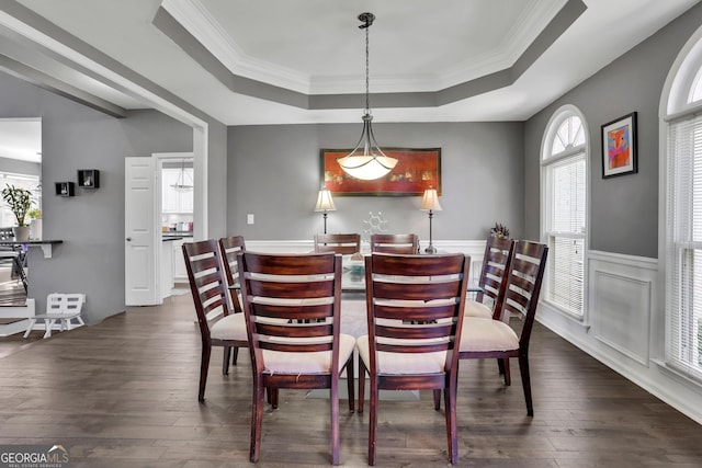 dining area featuring ornamental molding, a raised ceiling, dark wood finished floors, and wainscoting