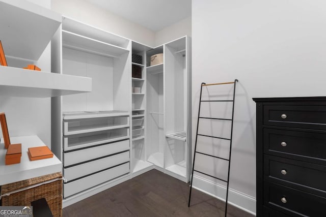 spacious closet with dark wood-style flooring