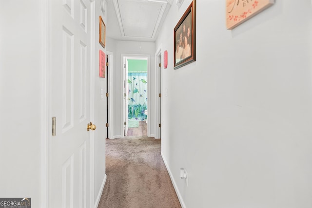 hallway with carpet floors, attic access, and baseboards