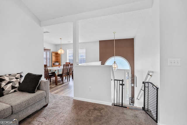 living area with visible vents, carpet flooring, and a textured ceiling