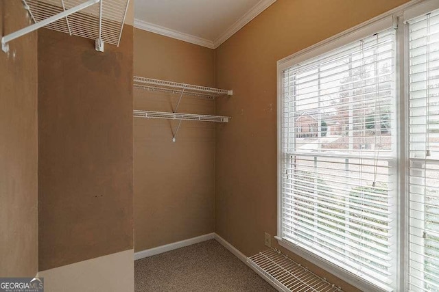 spacious closet with carpet floors