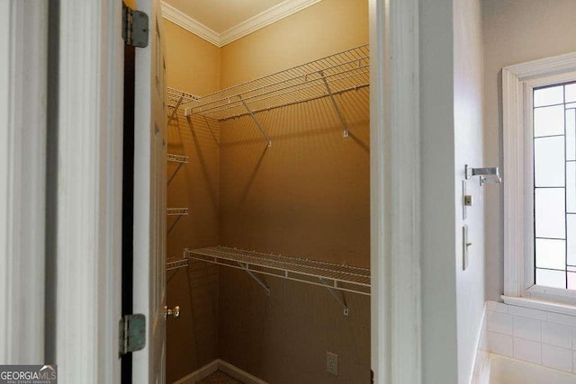 view of spacious closet