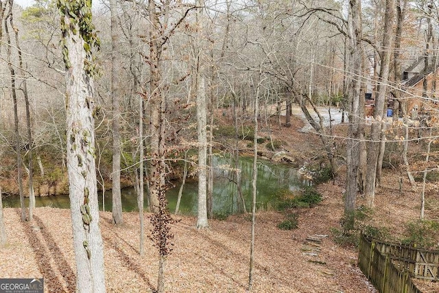 view of local wilderness with a water view and a forest view