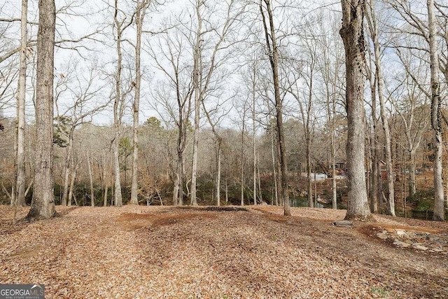 view of nature with a forest view