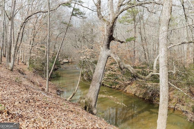 property view of water featuring a forest view