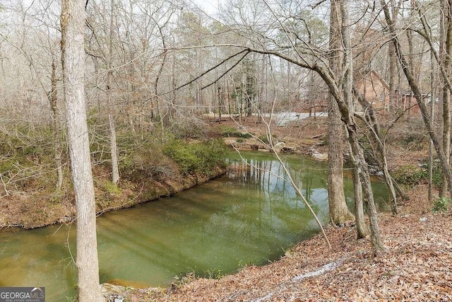 water view with a view of trees