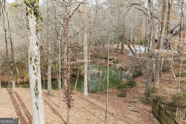 view of local wilderness