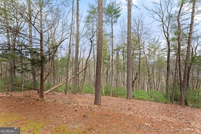 view of local wilderness featuring a wooded view