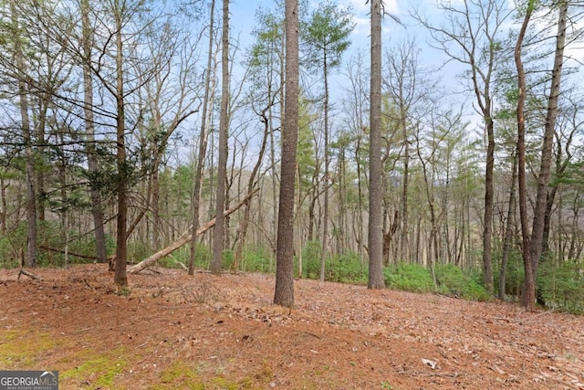 view of nature with a forest view
