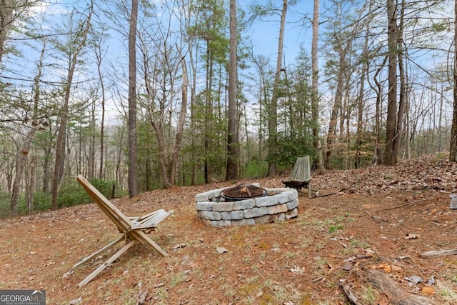 view of yard with a fire pit