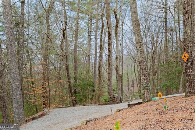 view of yard featuring a view of trees