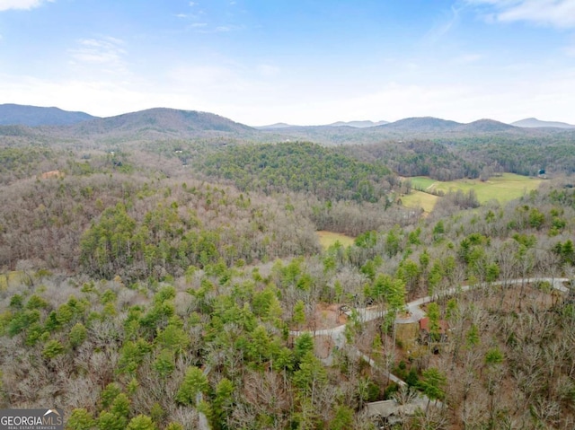 view of mountain feature with a wooded view