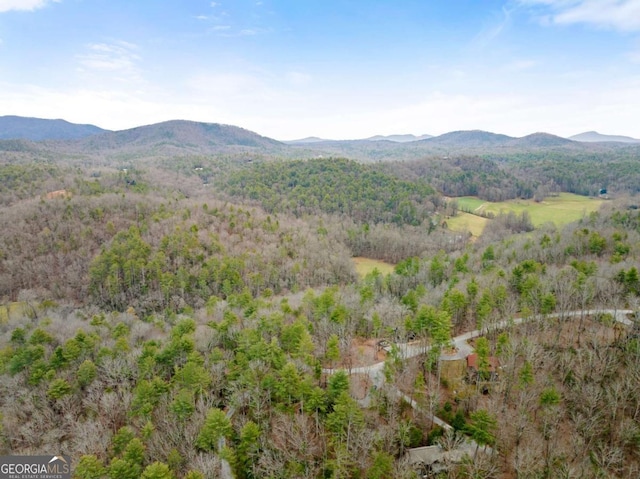 view of mountain feature featuring a wooded view