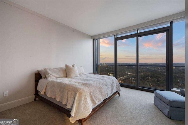 bedroom featuring floor to ceiling windows, carpet flooring, and baseboards