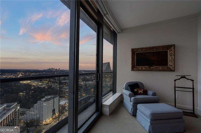 sunroom with a city view