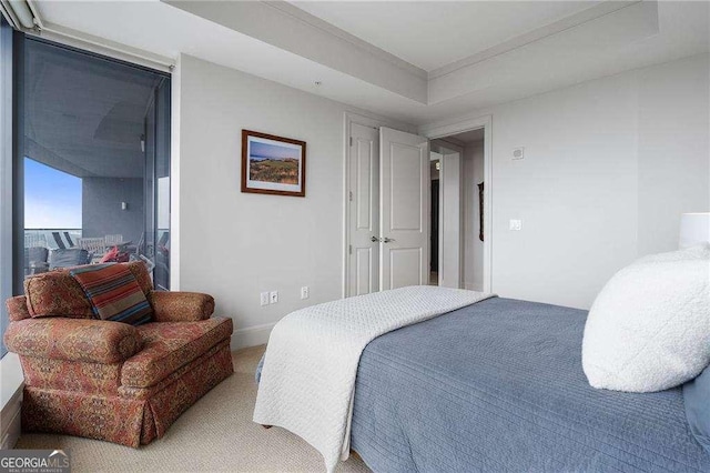 bedroom with baseboards and carpet flooring