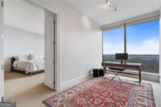 carpeted home office with rail lighting, expansive windows, baseboards, and ornamental molding