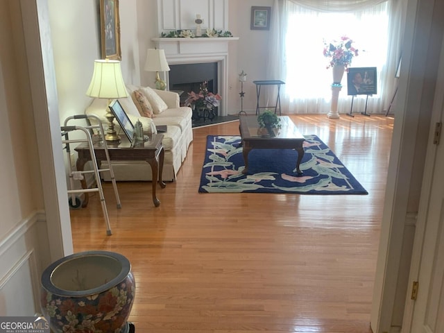 living room with a fireplace and wood finished floors