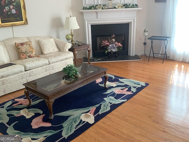 living room featuring a fireplace and wood finished floors