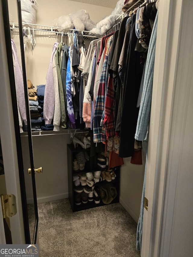 220 Joe Dr, Temple, GA 30179 - walk in closet featuring carpet floors