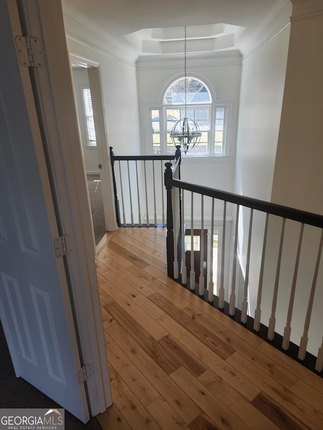 hallway featuring a raised ceiling, hardwood / wood-style flooring, ornamental molding, an inviting chandelier, and an upstairs landing