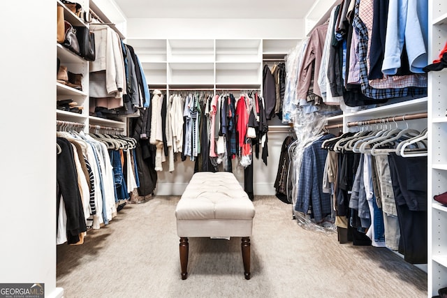 walk in closet featuring carpet floors