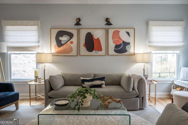 living room featuring baseboards and wood finished floors