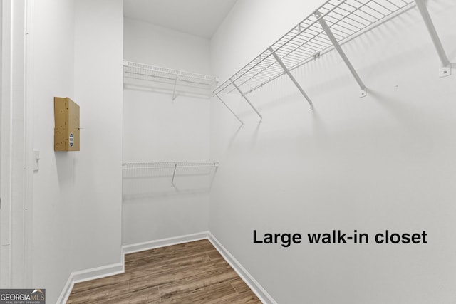 walk in closet featuring wood finished floors