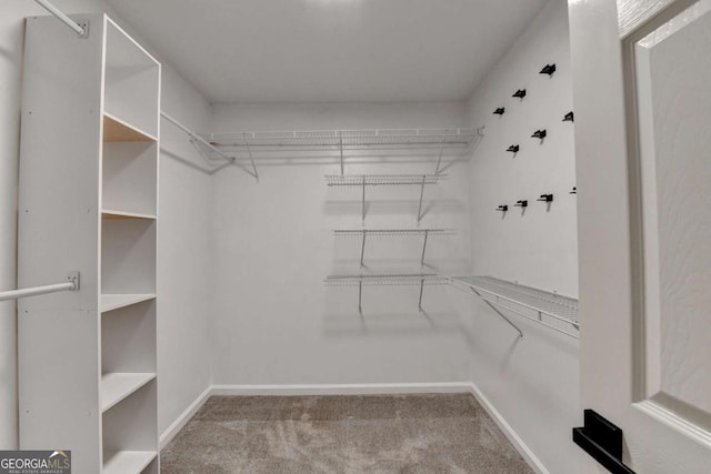 spacious closet with carpet floors