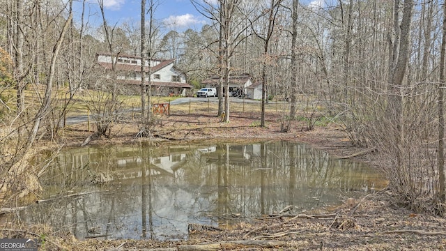 81 Bowers Rd, Moreland, GA 30259 - water view
