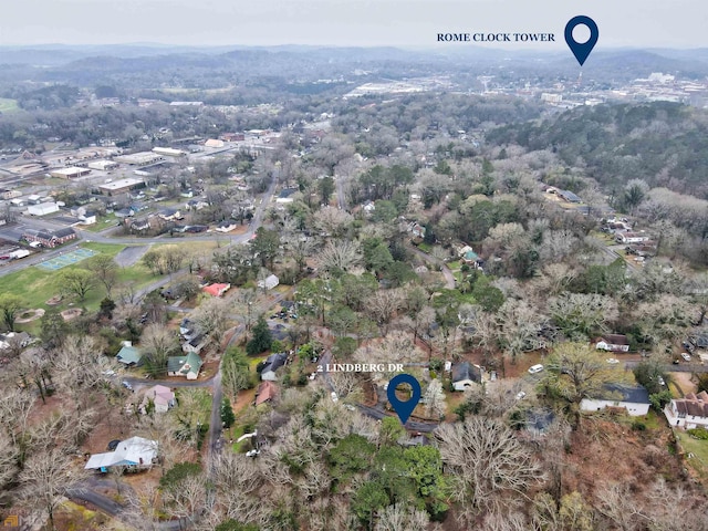 drone / aerial view