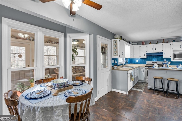 kitchen with tasteful backsplash, appliances with stainless steel finishes, under cabinet range hood, white cabinetry, and a sink