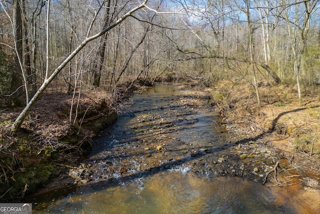 property view of water with a wooded view