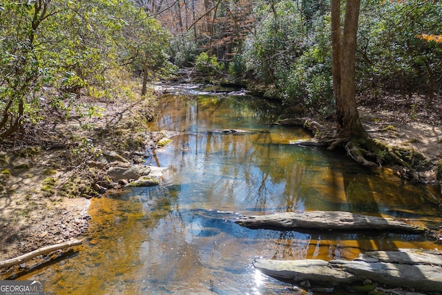 view of water feature featuring a forest view