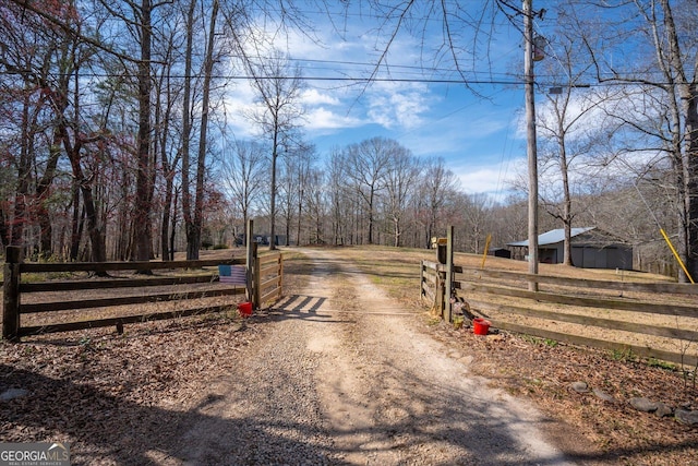 view of road featuring a gated entry and dirt driveway