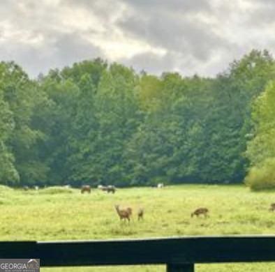 view of yard featuring a forest view and a rural view