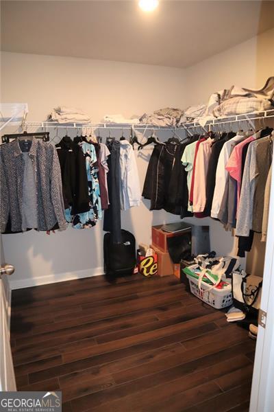 spacious closet with wood finished floors