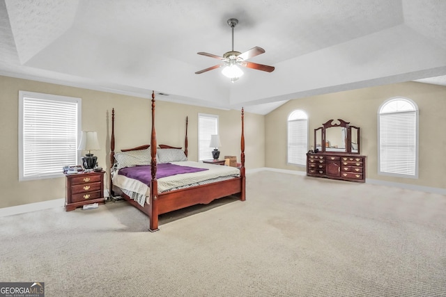 bedroom with multiple windows, carpet, a raised ceiling, and baseboards