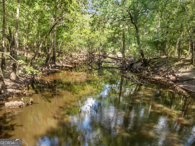 water view featuring a wooded view