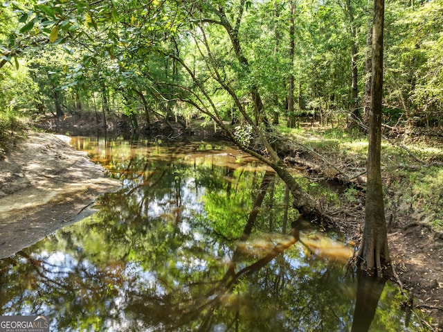 property view of water with a wooded view