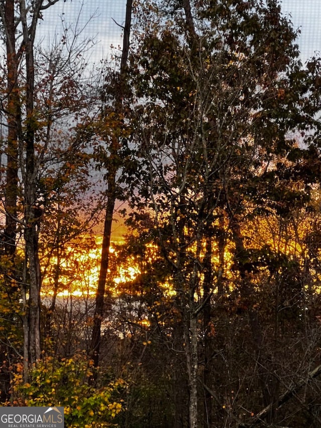 view of nature at dusk