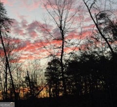 view of nature at dusk