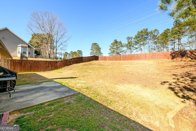 view of yard featuring a patio area and a fenced backyard