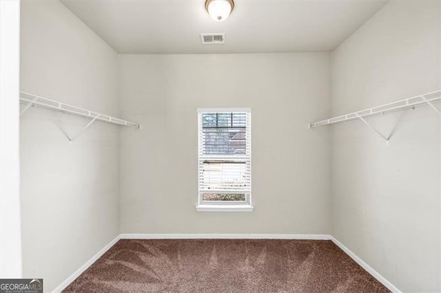 spacious closet featuring carpet and visible vents