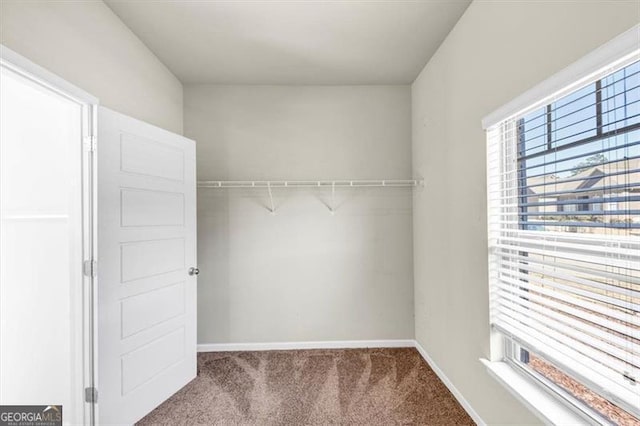 spacious closet with carpet