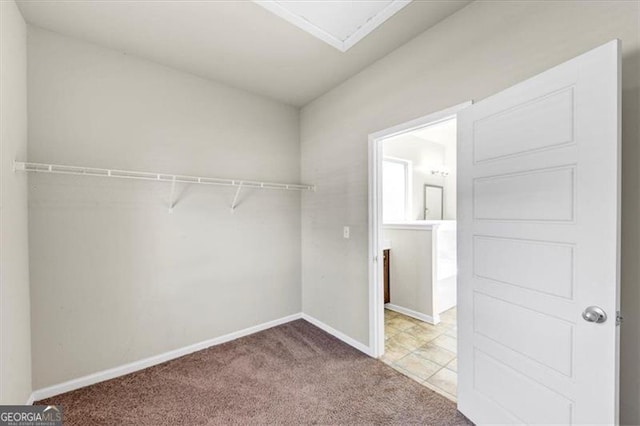 walk in closet featuring carpet flooring