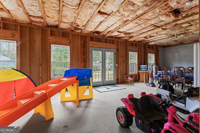 rec room with french doors