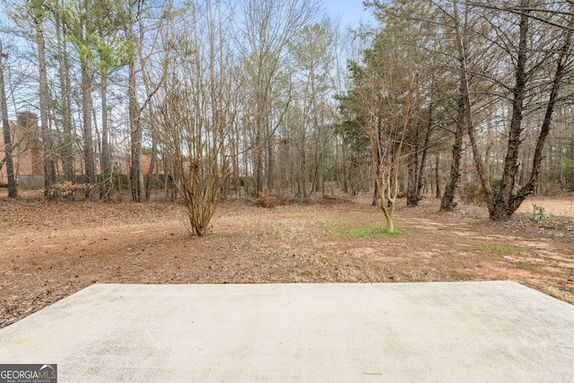 view of yard featuring a patio area