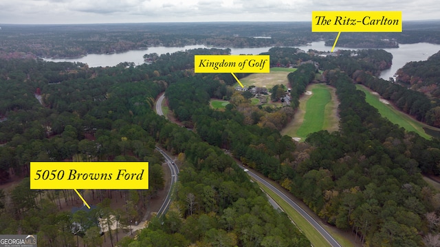 drone / aerial view with a water view and a view of trees